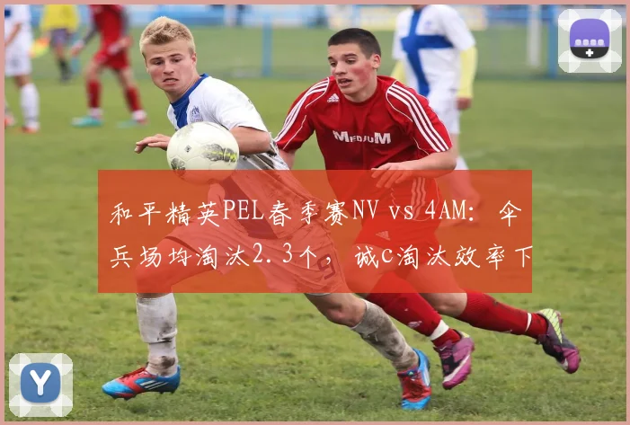 和平精英PEL春季赛NV vs 4AM：伞兵场均淘汰2.3个，诚c淘汰效率下滑至1.8